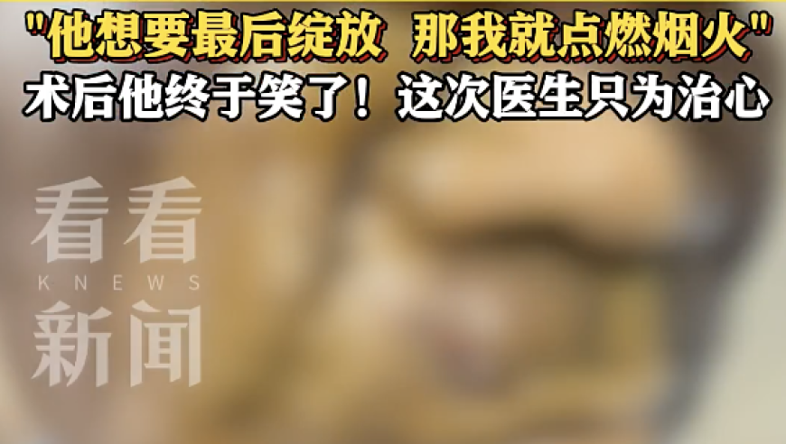 张凌赫春日男友感,118网站开奖 澳门,广泛的解释落实支持计划_HarmonyOSV11.39