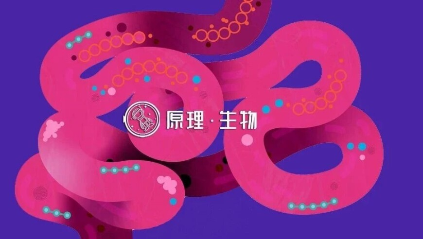 香港4777777的开奖结果A,台军回应大批战机异常起降,展开解析落实_体验版V9.48